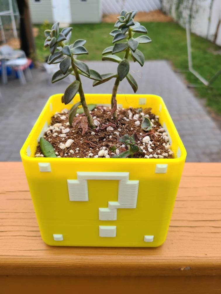 Super Mario Planter Box For Succulents