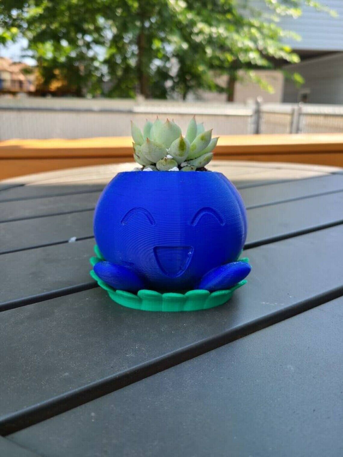 Pokémon Oddish Succulent Planter