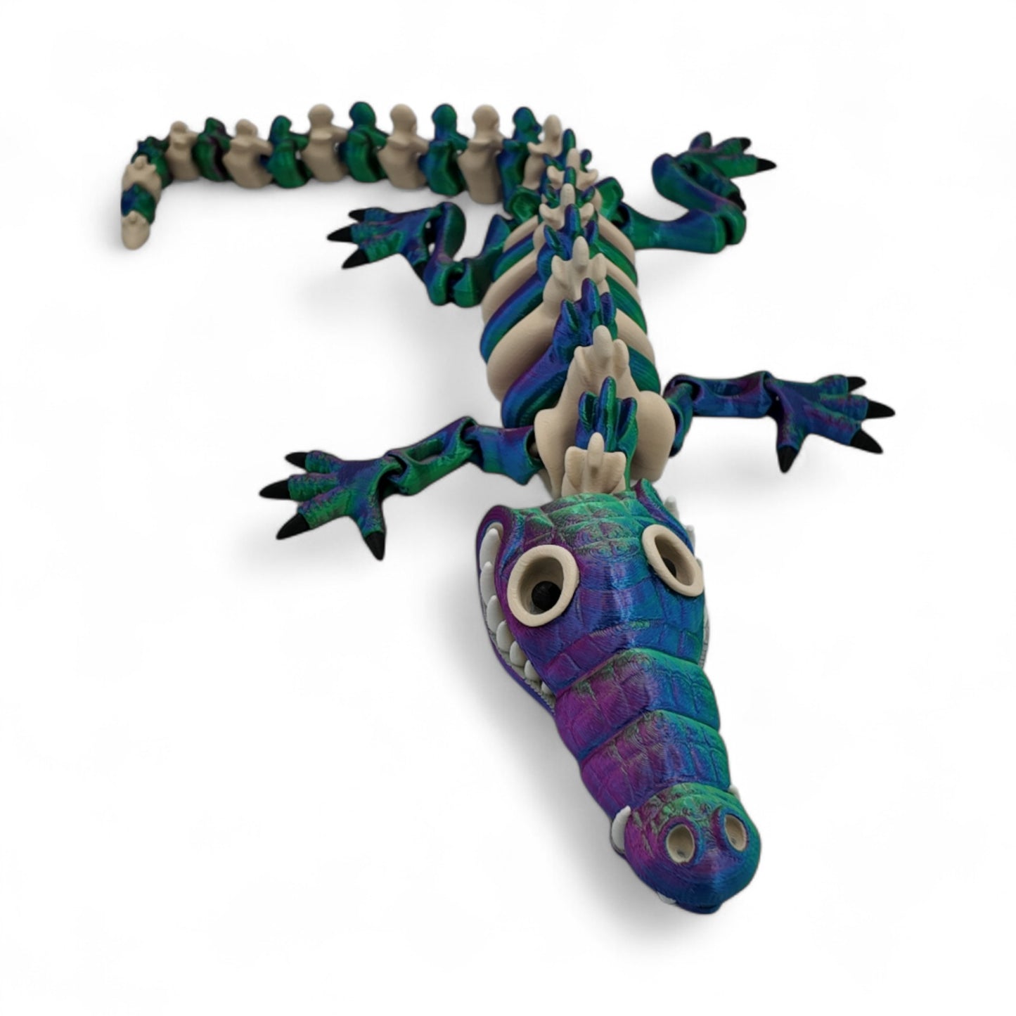 Adult Skeleton Crocodile