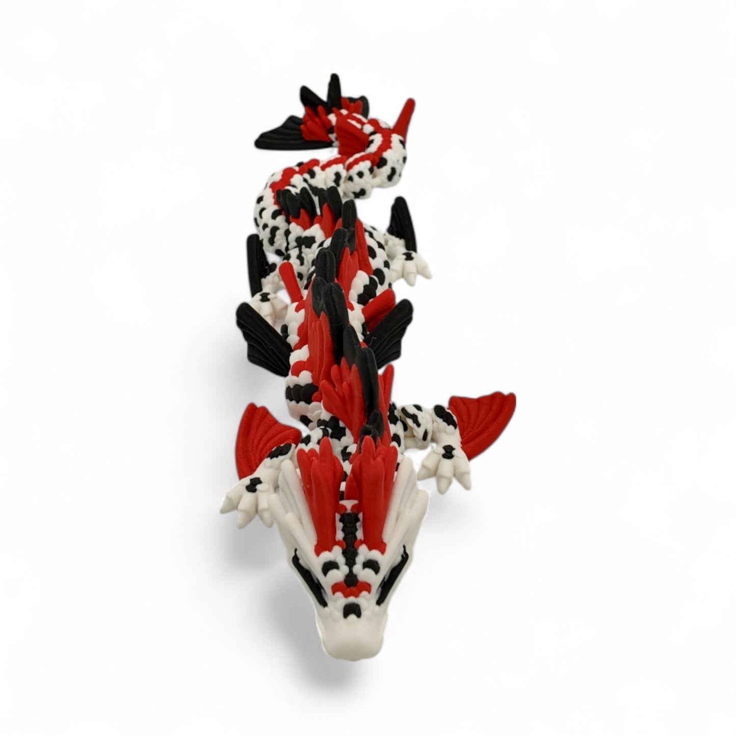 Adult Koi Fish Dragon
