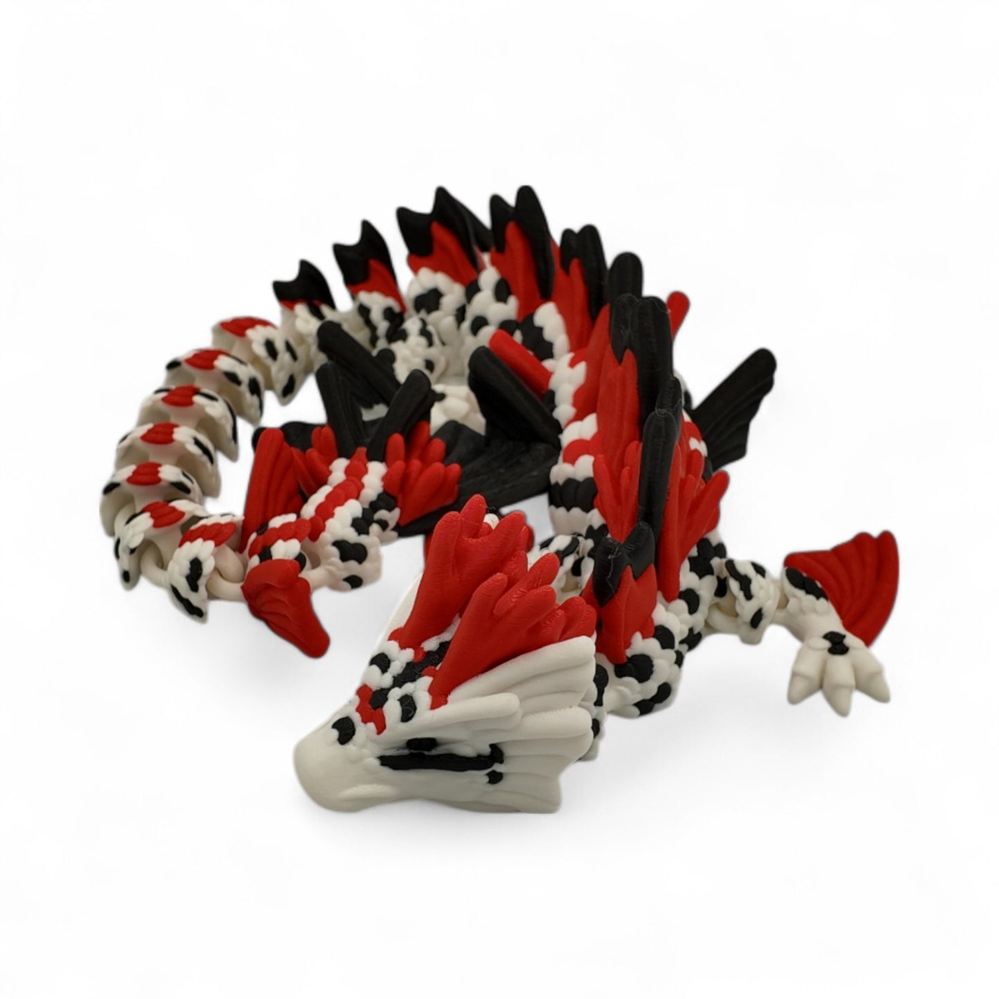 Adult Koi Fish Dragon
