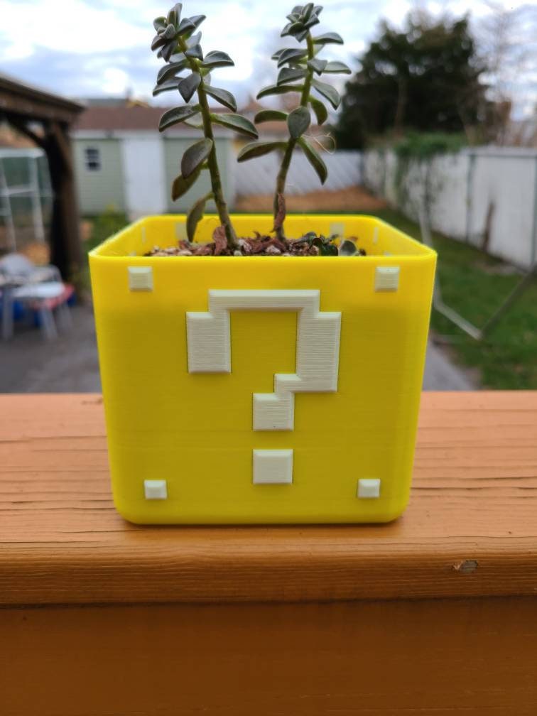 Super Mario Planter Box For Succulents