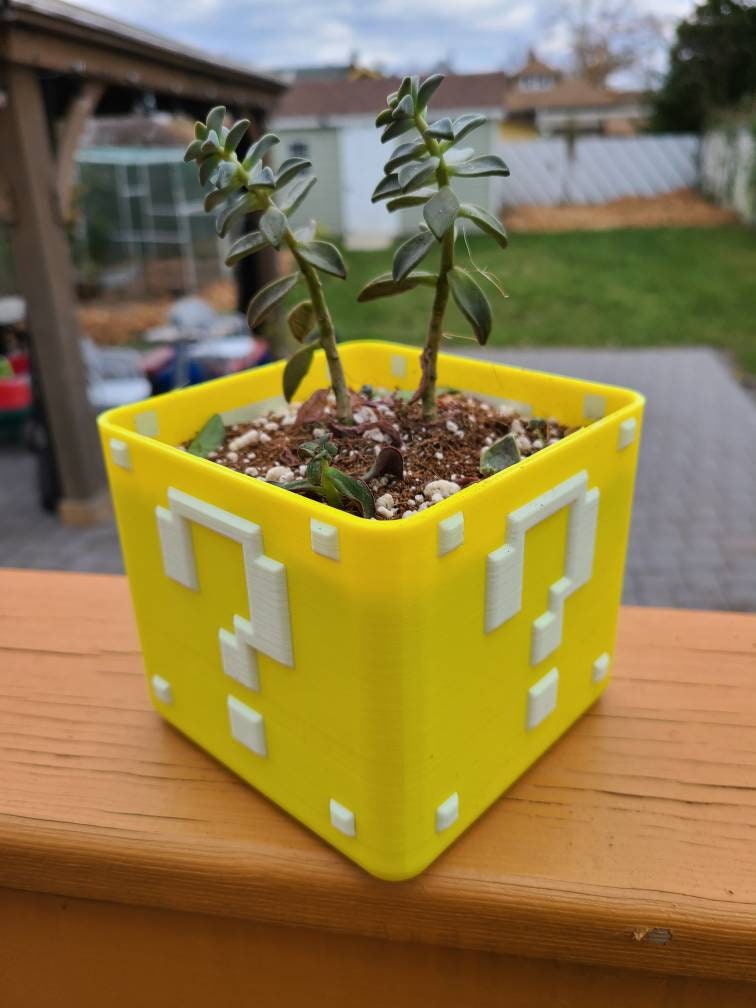 Super Mario Planter Box For Succulents