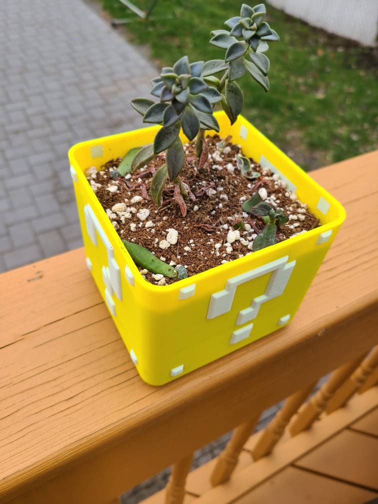 Super Mario Planter Box For Succulents